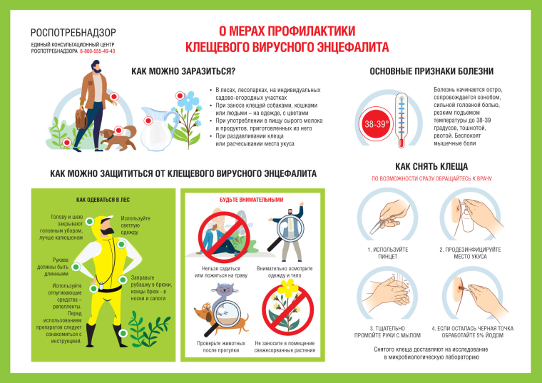 Информация о мерах профилактики природно – очаговых, клещевых инфекционных заболеваний.